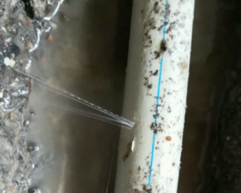 巢湖卫生间测漏水多少钱